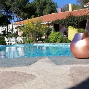  Bed & Breakfast Romangia